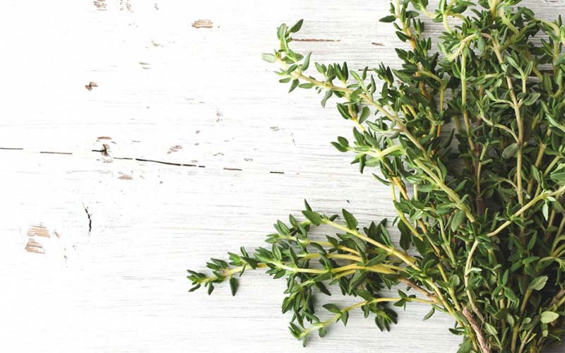 thyme for skin